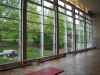 die-halle